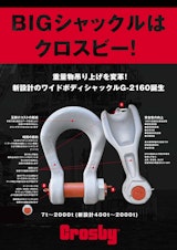 クロスビー ワイドボディシャックル NEW G-2160